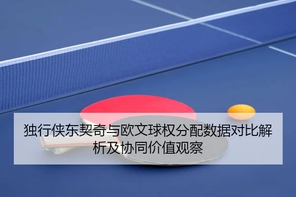 独行侠东契奇与欧文球权分配数据对比解析及协同价值观察